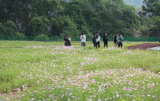 草坪回族乡新晋网红打卡点——江畔房车营地