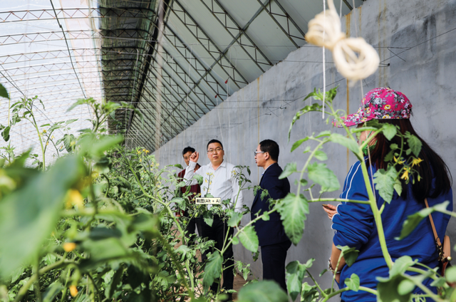 “党建强”引领行业协会“发展强”