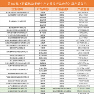 都杀疯了！第389批房车公告恐怕是今年最让人眼界大开的一批